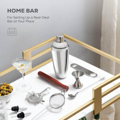 10-Piece Cocktail Shaker Set with Travel Bag - Stainless Steel Shaker Set Bartender Kit - Mixology Bartender Kit