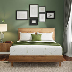 10 Inch Memory Foam Mattress Medium Plush, Queen Mattress, Green | Cooling Green Tea Gel Memory Foam for Pressure